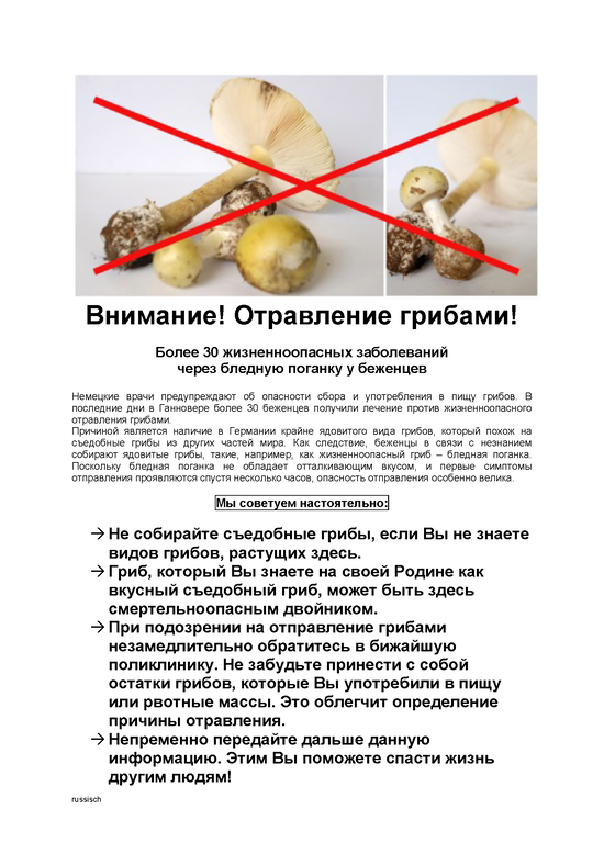 Warnplakat Knollenblätterpilz russisch