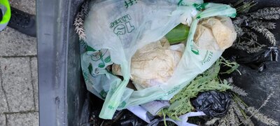 Kontrolle Biomülltonnen