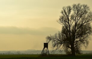 Jagdschein
