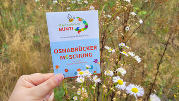 "Mach´s einfach bunt!" - Samentütchen