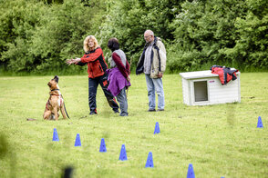 die Theorie wird in die Praxis umgesetzt