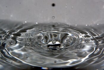 Wasser
