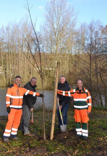 Baum des Jahres 2019