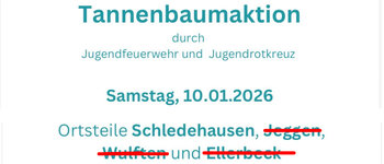 tannenbaum_ausfall_02