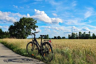 Symbolbild Fahrrad