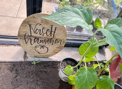 Kita am Berg - Einweihung Gewächshaus