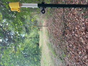 Akeleiwiese Zaunstecker