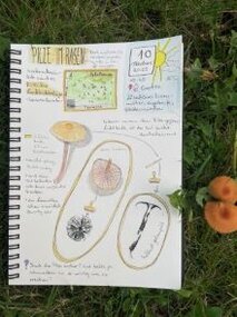 Einblick in ein Naturtagebuch