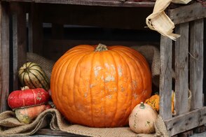 Erntedank - pixabay - istock freeware Erntedank