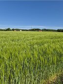 Fechtner, Symbolbild Kindertagespflege