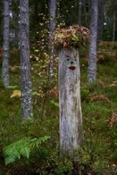 Naturkunst mit Baumstamm - Mira Strohmayer Naturkunst mit Baumstamm