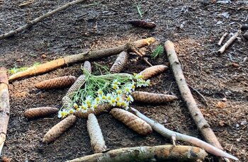 Bücherei Bissendorf - Ein Nachmittag im Wald