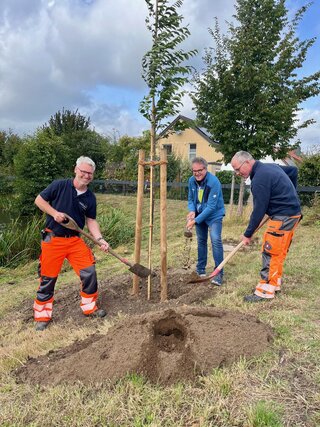 Baumpflanz-Challenge