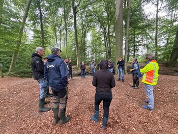 Revitalisierung Wierau - Bach im Fluss 2026