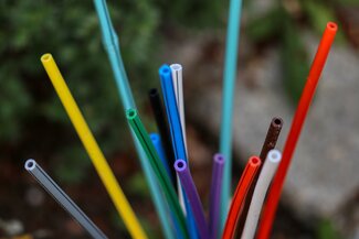 planet_fox-glass-fiber-5223804