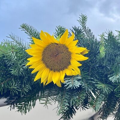 800 Jahre Wissingen - Dorfquiz (5)