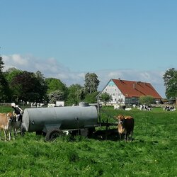 Foto 2 Eier aus Stockum