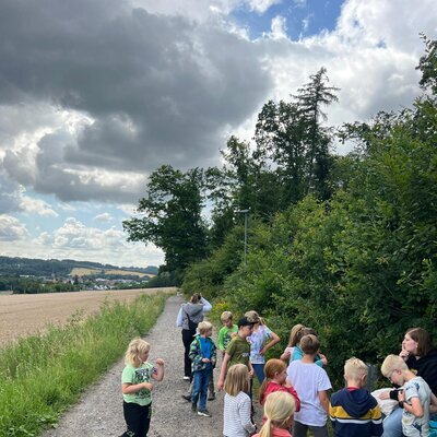 Spielend den Wald entdecken1