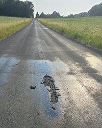 Hitzeschäden Werscher Straße 27.06.2026