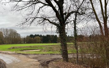 Vollsperrung Karlstraße wegen Forstarbeiten