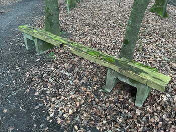 Erneuerte Sitzbank am Waldbad Schledehausen