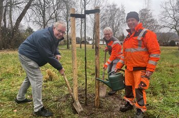 Pflanzung Baum des Jahres 2025
