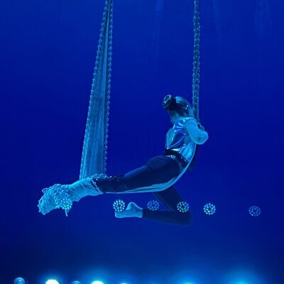 Zirkus8 Netzakrobatik1