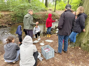 Revitalisierung Wierau - Bach im Fluss 2026