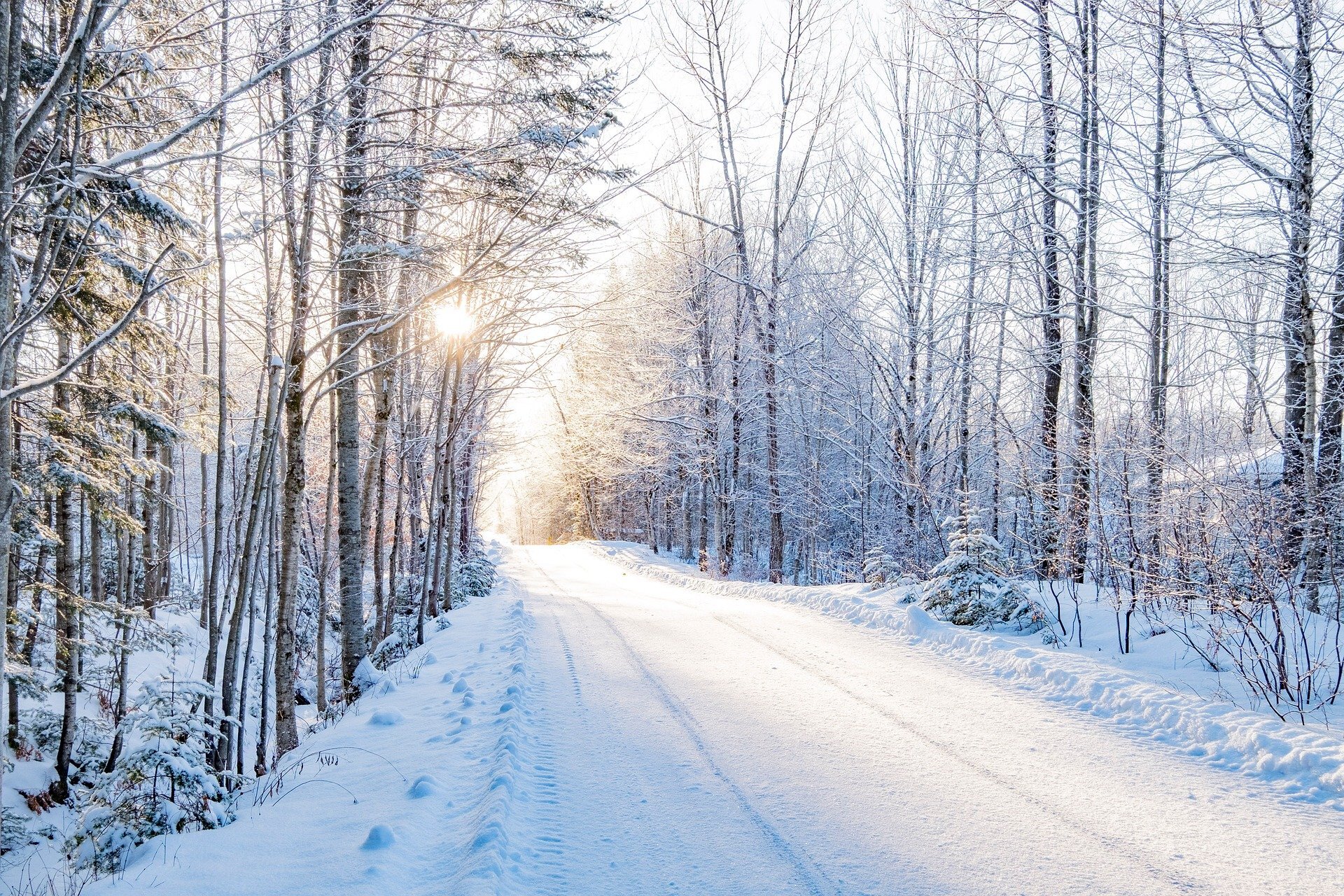 Schneelandschaft - iStock Freeware Schneelandschaft