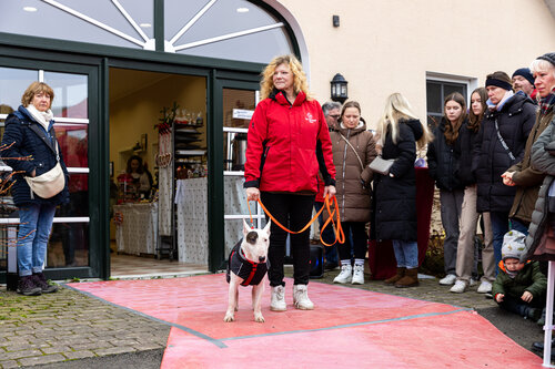 Teamvorstellung Gut Aiderbichl Osnabrück