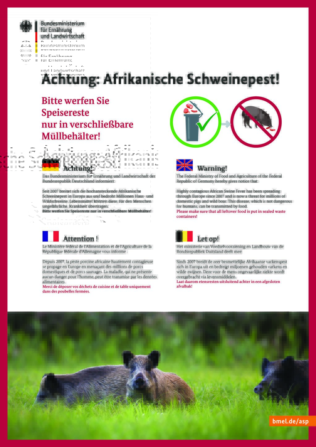 Achtung! Afrikanische Schweinepest! Achtung! Afrikanische Schweinepest!