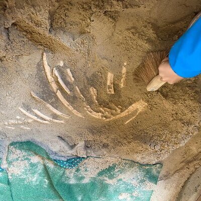 Grabungscamp Kalkriese3